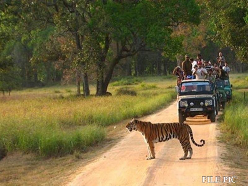 28_02_2022-jangal_safari_raipur