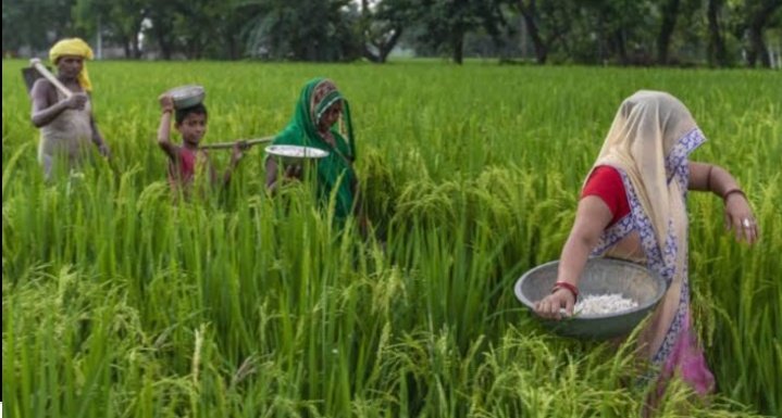 farmers-7.jpg