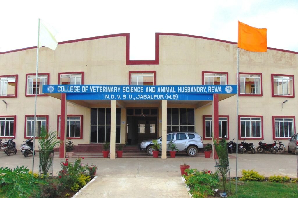VC-Rewa.jpg