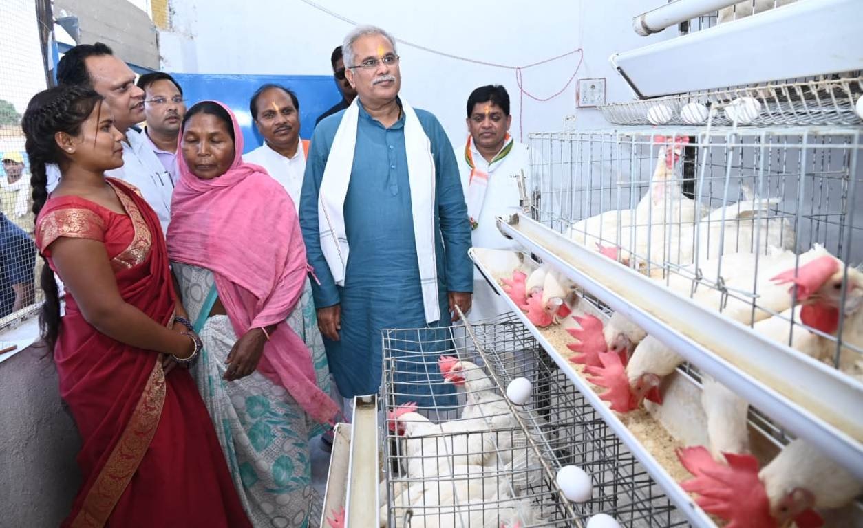 रायपुर : गौठान से मिली स्वावलंबन की राह : अण्डा उत्पादन से हुई 8 माह में लगभग ढाई लाख रूपए की आय