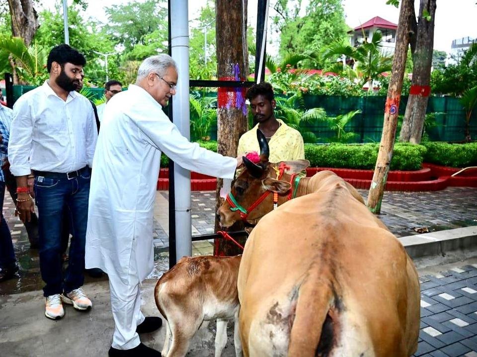 रायपुर : महिला समूह और किसानों ने मुख्यमंत्री को ‘गाय-बछड़ा’ आशीर्वाद स्वरूप भेंट किया