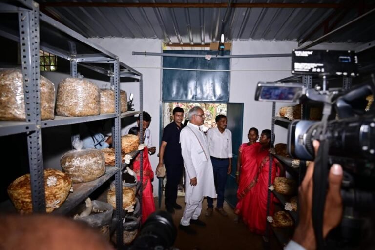रायपुर : मुख्यमंत्री ने गांधीग्राम में मशरूम उत्पादन व लाख प्रसंस्करण प्रशिक्षण का किया अवलोकन