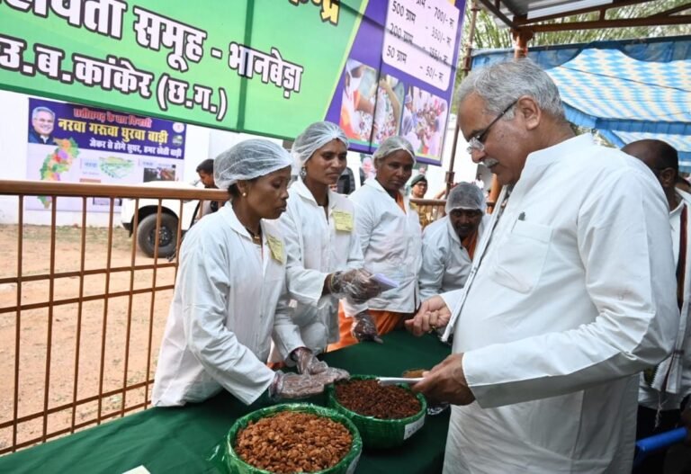 रायपुर : ईश्वरी न बोलती न सुनती पर अपने हुनर से तैयार कर रही महुआ से स्वादिष्ट लड्डू