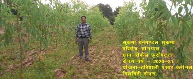 रायपुर : हरियाली प्रसार योजना: तीन वर्षों में 83 लाख से अधिक पौधों का रोपण