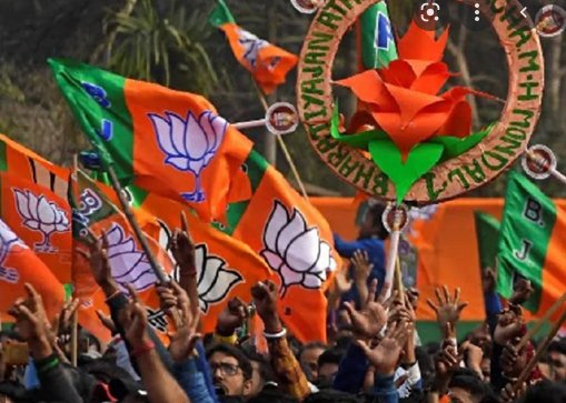 bjp_1f-2.jpg