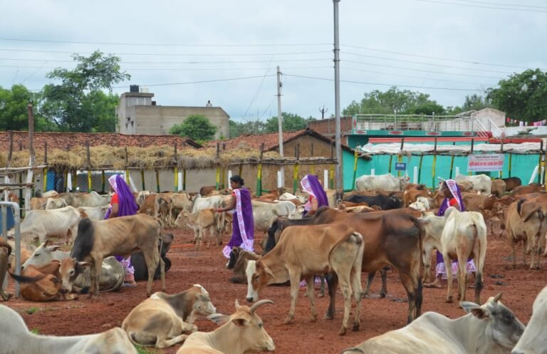 बिलासपुर : विशेष लेख : 201 गौठानों में संचालित आजीविका गतिविधियों से महिलाएं हो रही हैं आर्थिक रूप से सशक्त