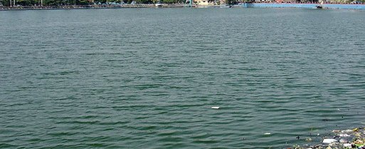 15099684200_528cd197f2_z.jpg