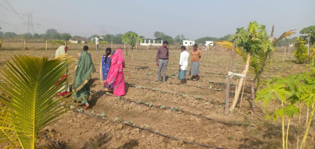 बिलासपुर : बाड़ी विकास योजना से समूह की दीदियां हो रही आत्मनिर्भर