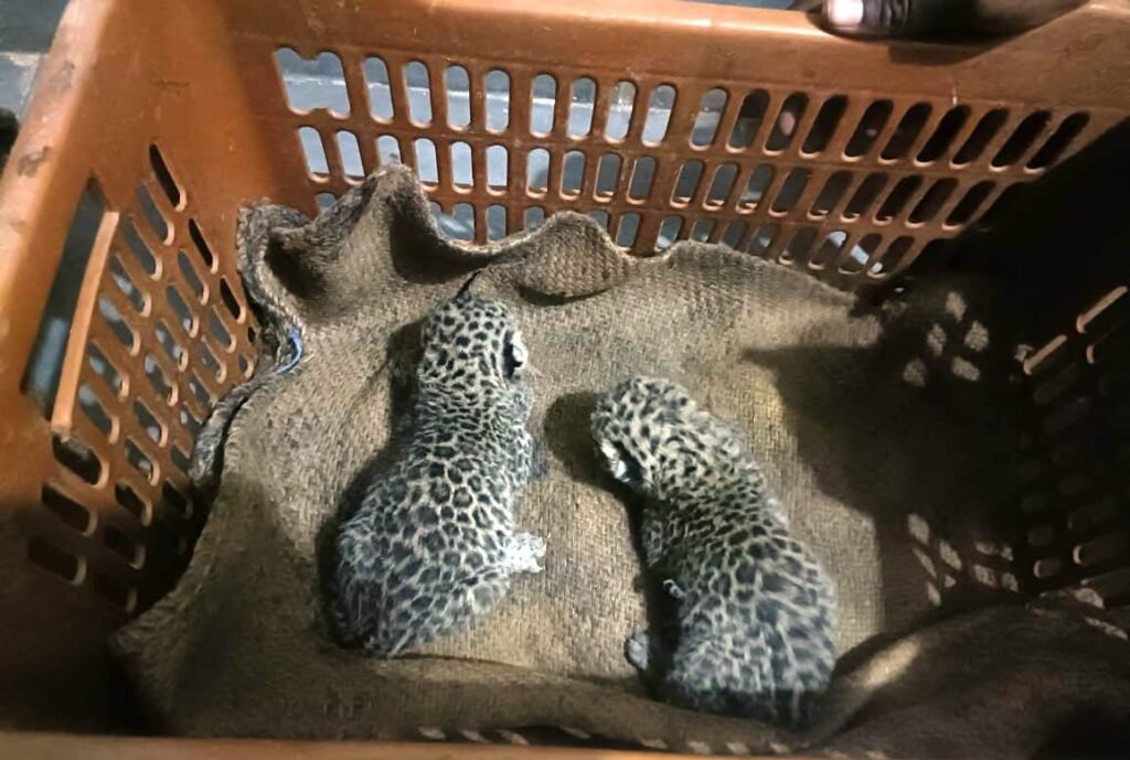 140