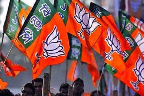 BJP-Flag-1-3.jpg