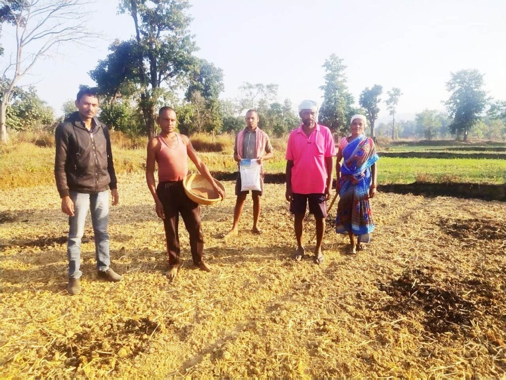 उत्तर बस्तर कांकेर: धान के बदले रागी की खेती करने किसानों को किया जा रहा है प्रोत्साहित
