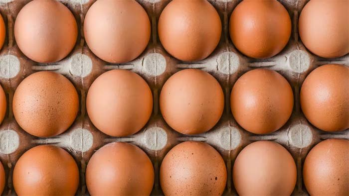 egg3.jpg