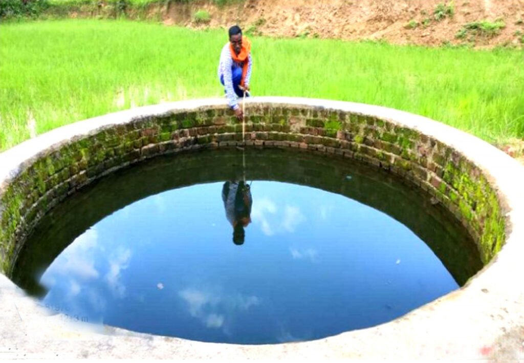 बिलासपुर : मनरेगा से बने कुएं से खेती कर बढ़ाया मुनाफा धान के अलावा सब्जियों की कर रहे खेती