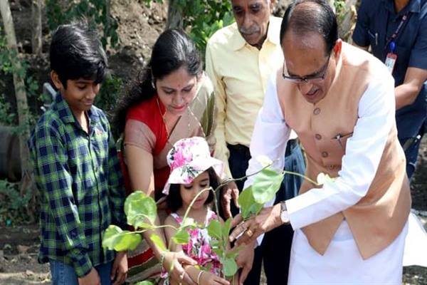 MP – मुख्यमंत्री श्री चौहान ने बरगद, अमरूद और करंज के पौधे लगाए