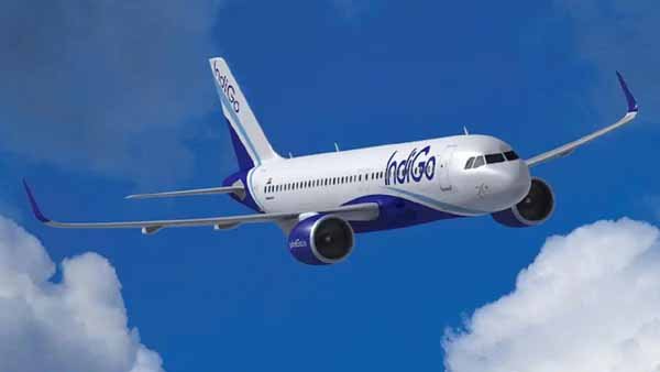 indigo_airlines.jpg