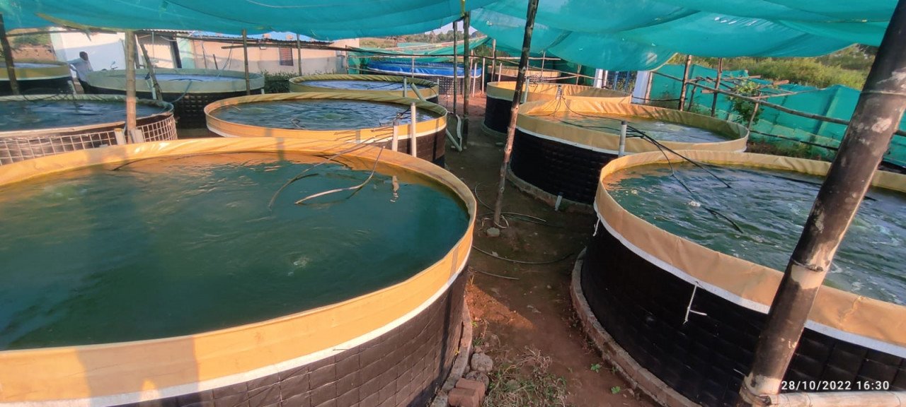 1691657954_6622fb098a884c93cf23