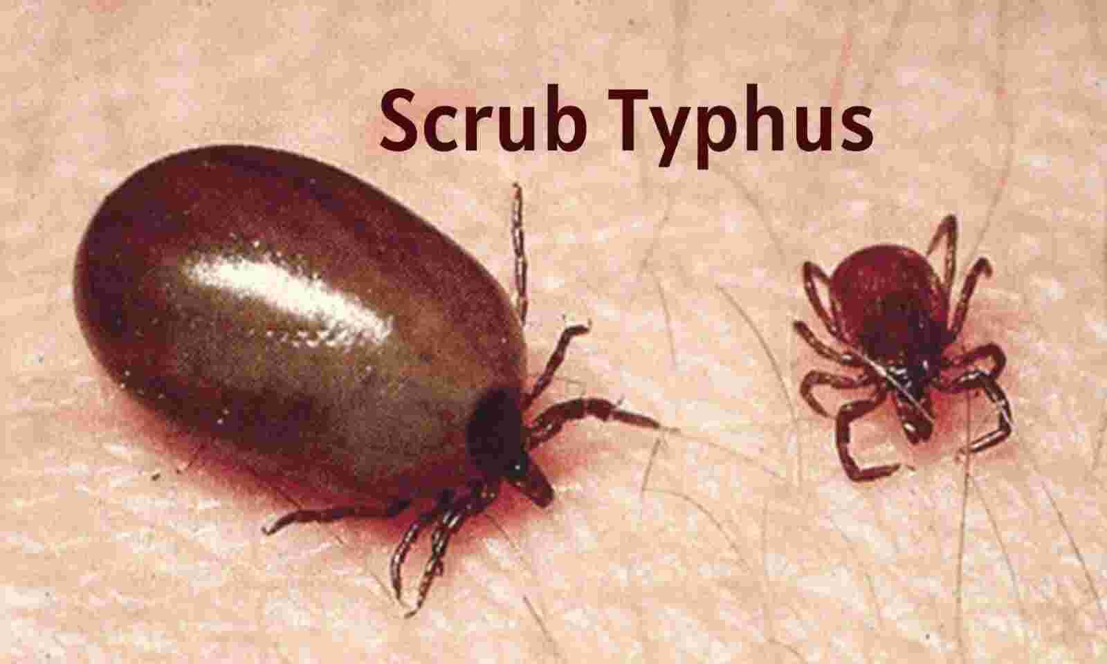 20230906132211_Scrub Taifus