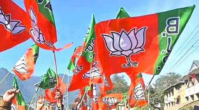 BJP01-1.jpg