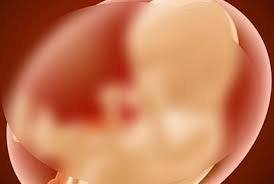 images (1)