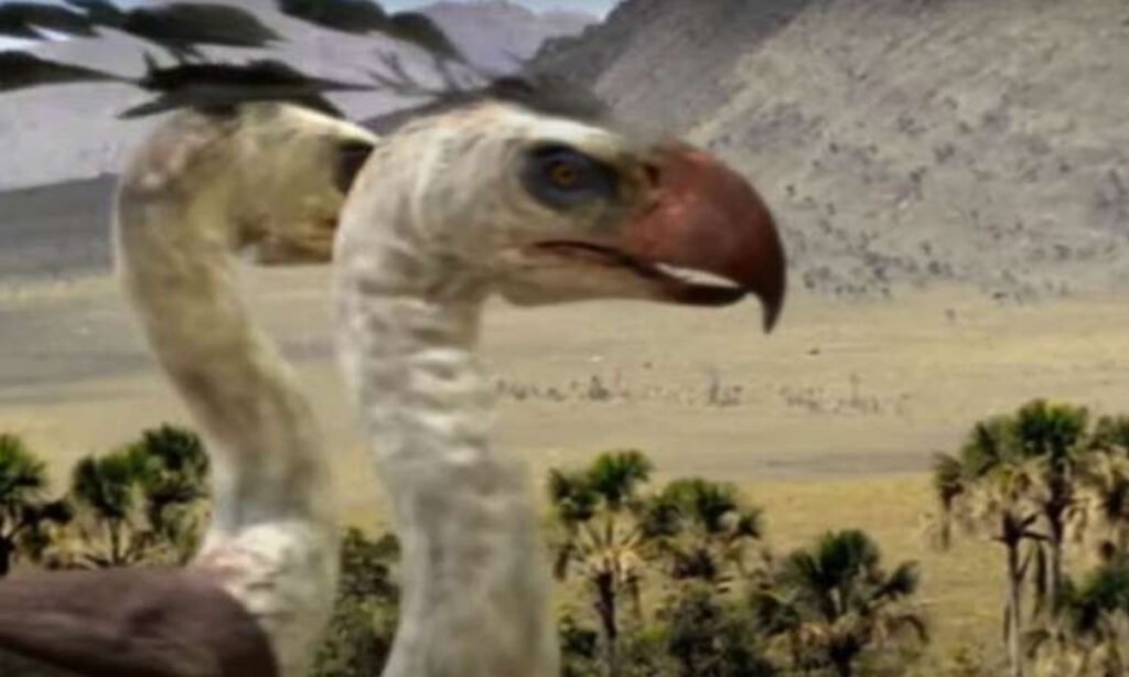 2-572