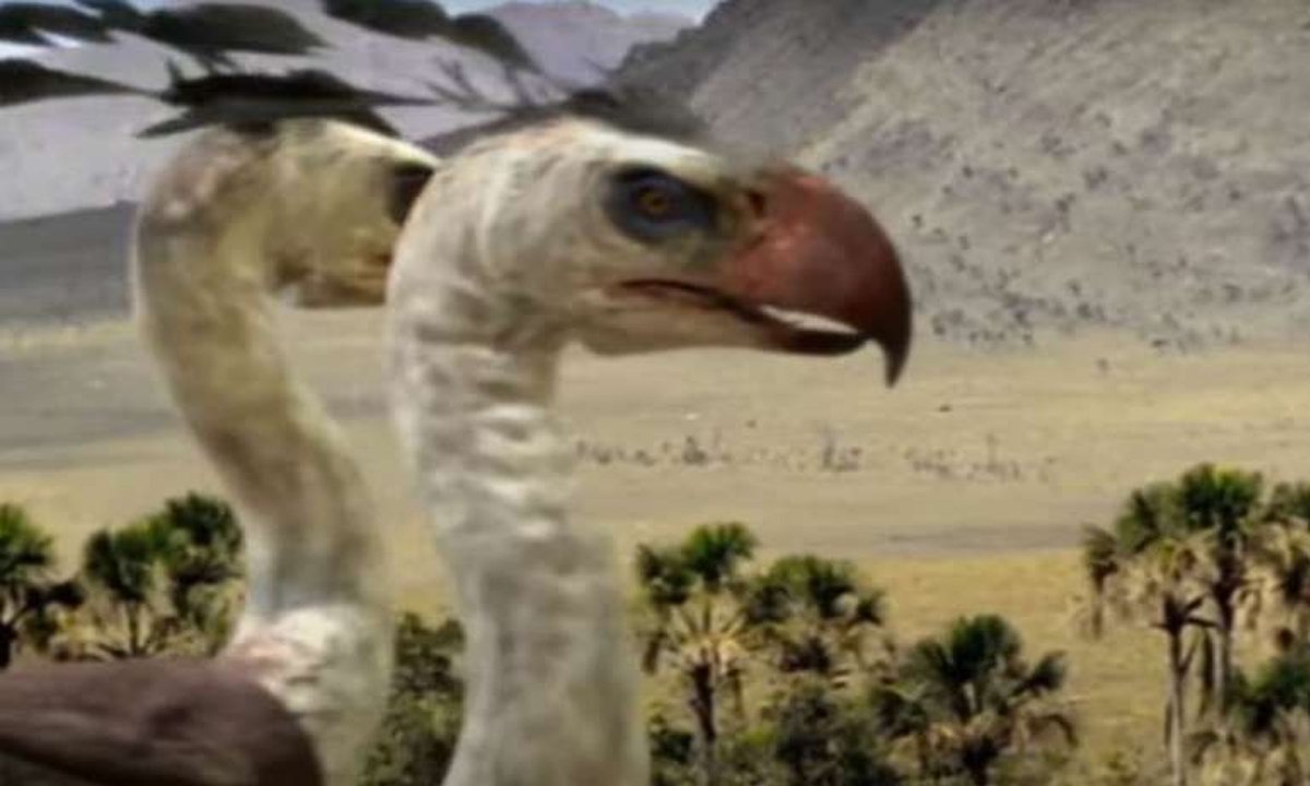 2-572