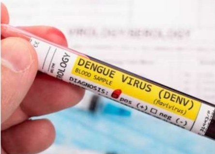 20230906085339_dengue