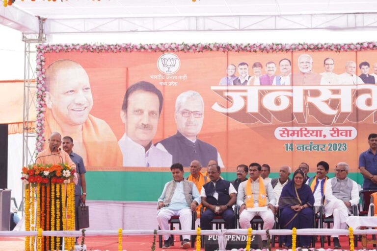 yogi-10.jpg
