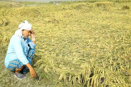 20231206103132_khet
