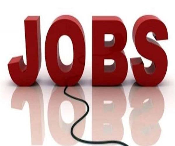 job.jpg