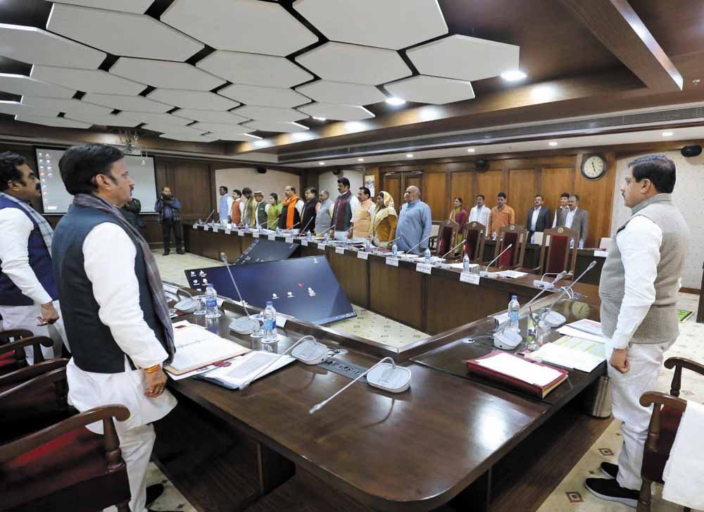 Cabinet1.jpg