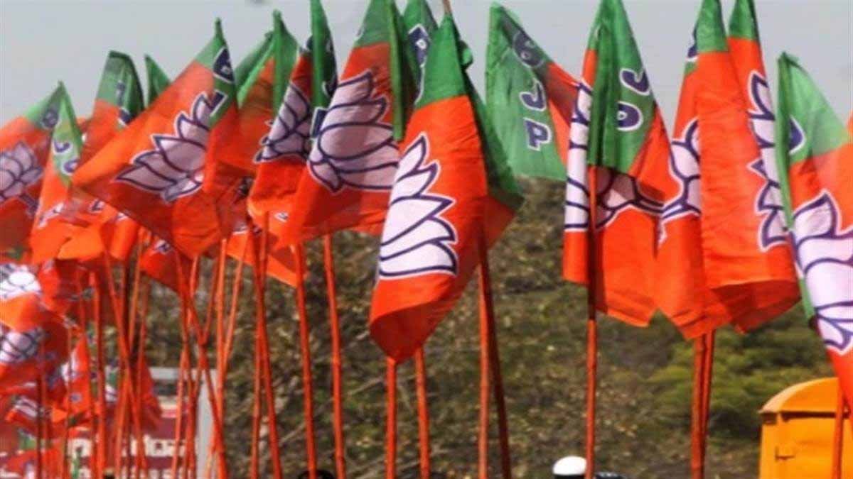 bjp-11.jpg