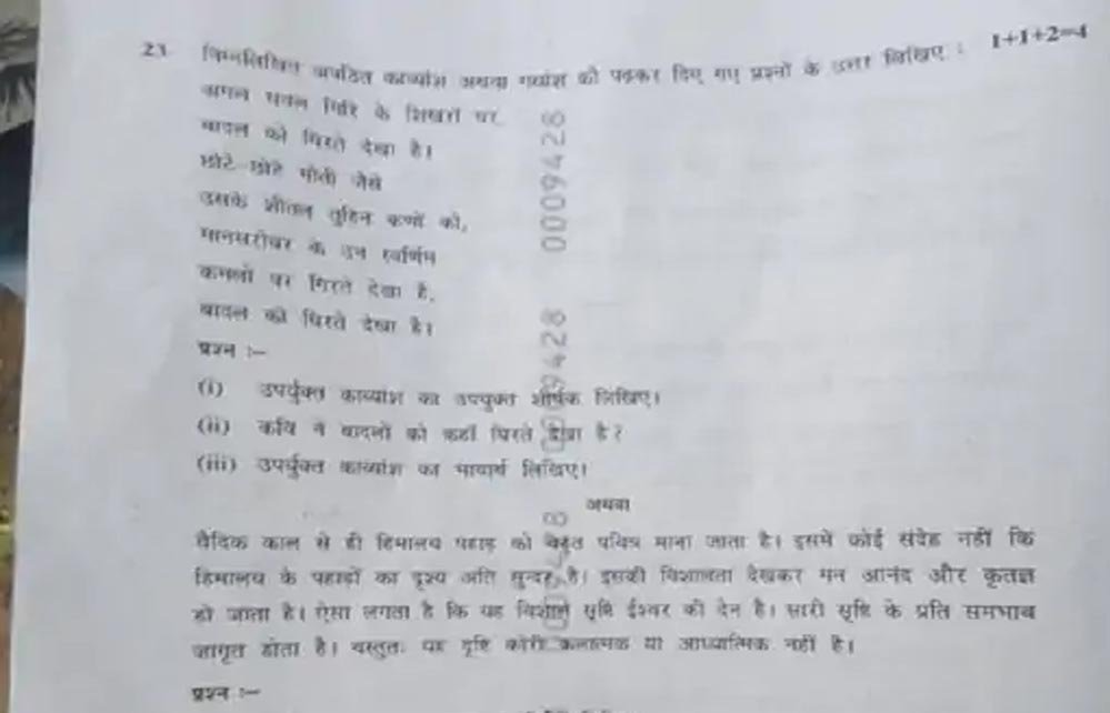 5_A_35.jpg