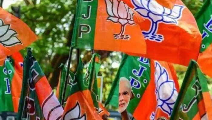 BJP2-8.jpg