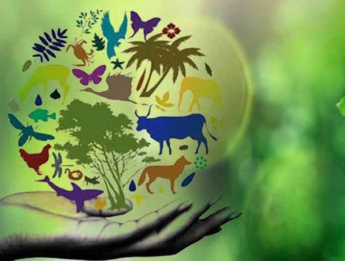 conserve_biodiversity.jpg