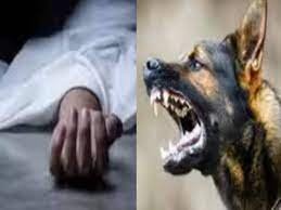 download (11)