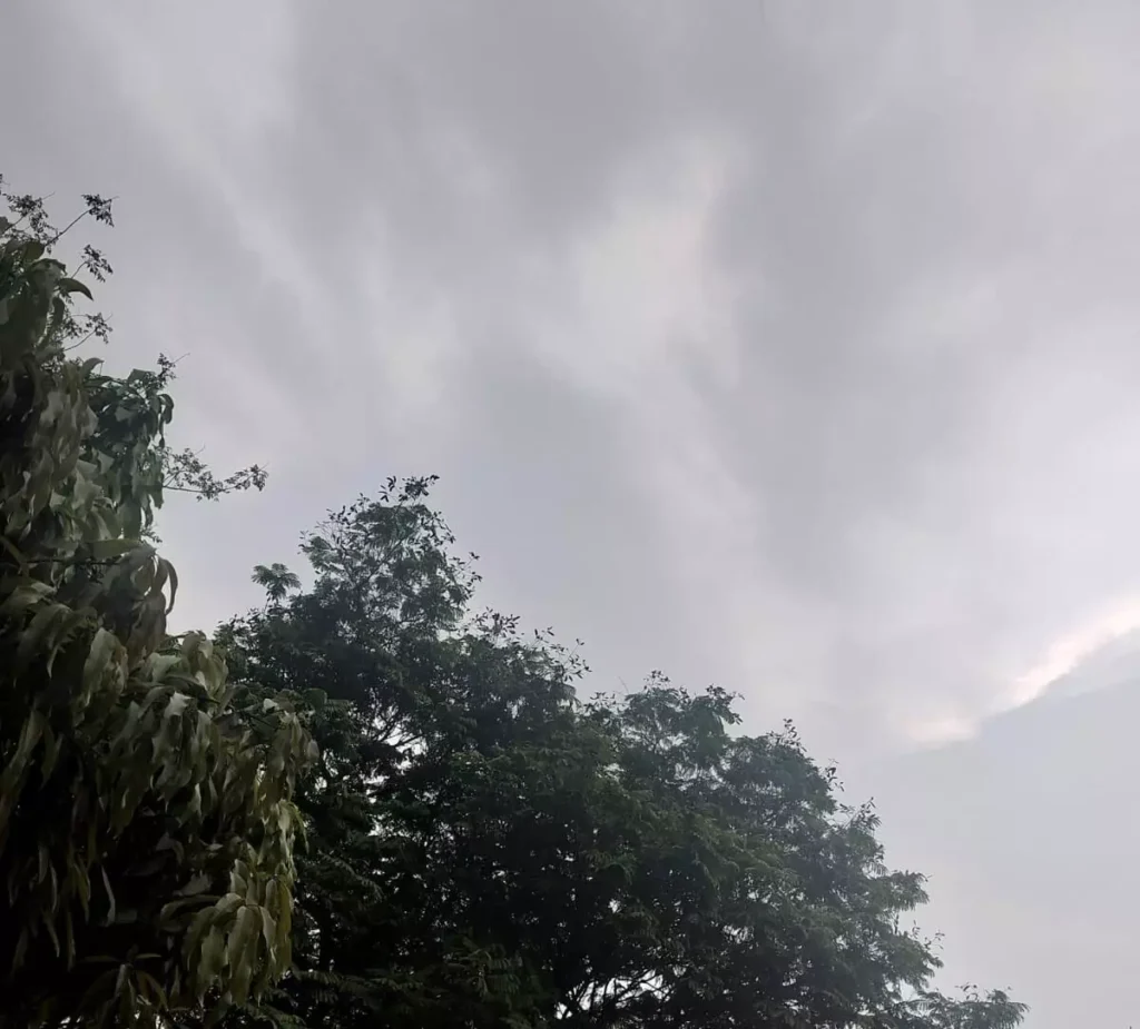 3608113-untitled-93-copy