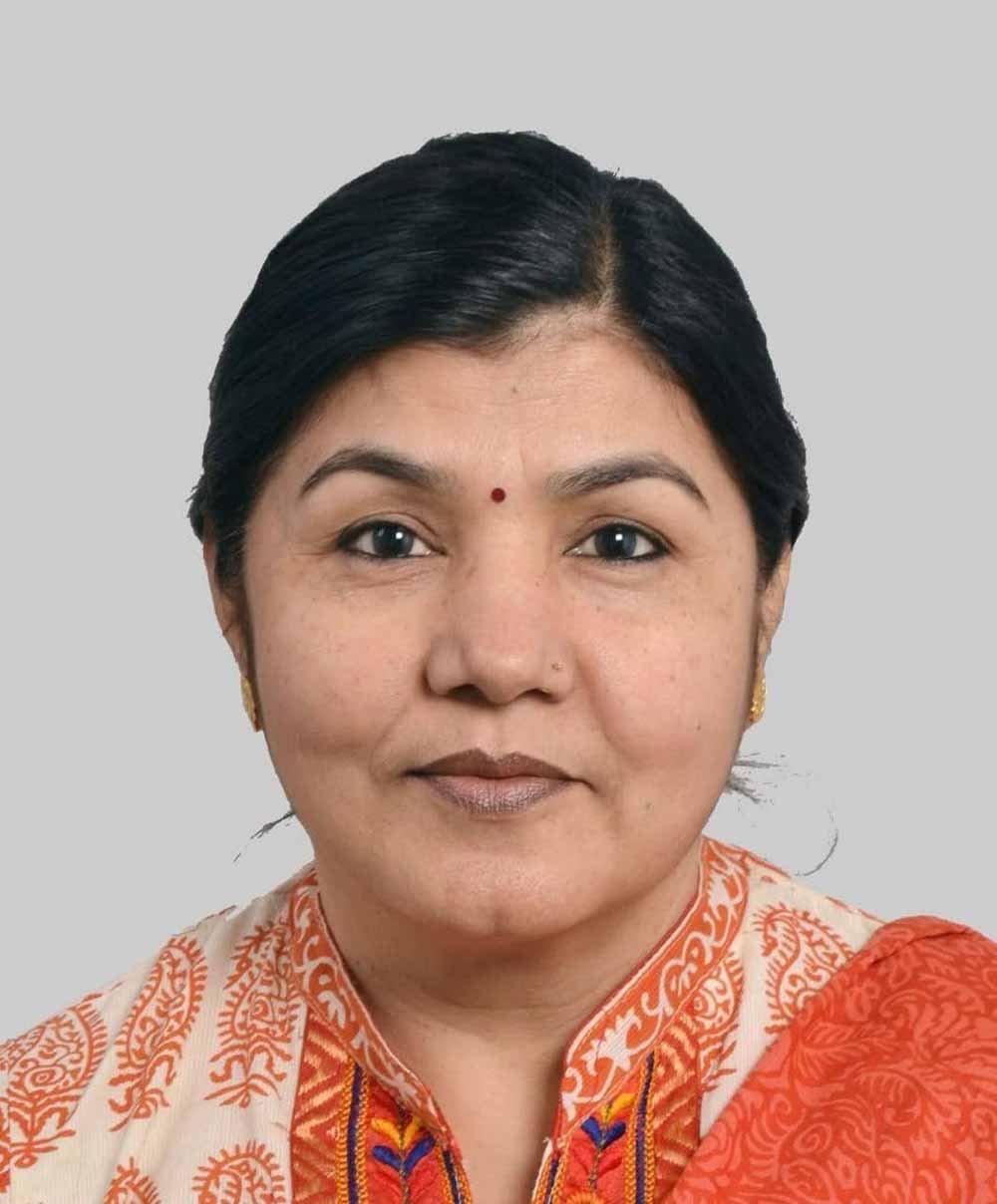 bjp0101.jpg