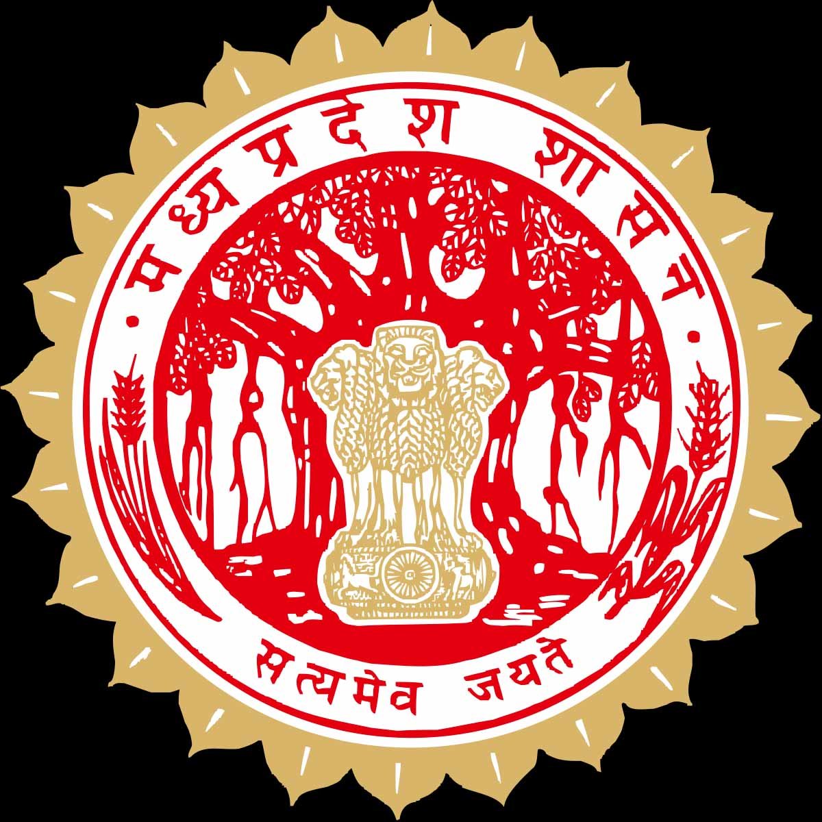mp_logo_o-1.jpg