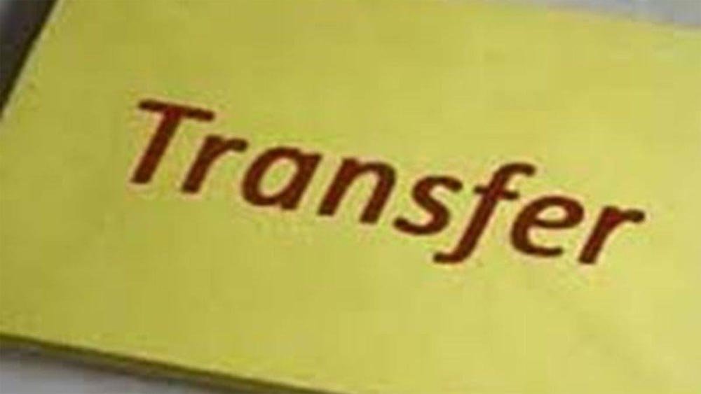transfar.jpg