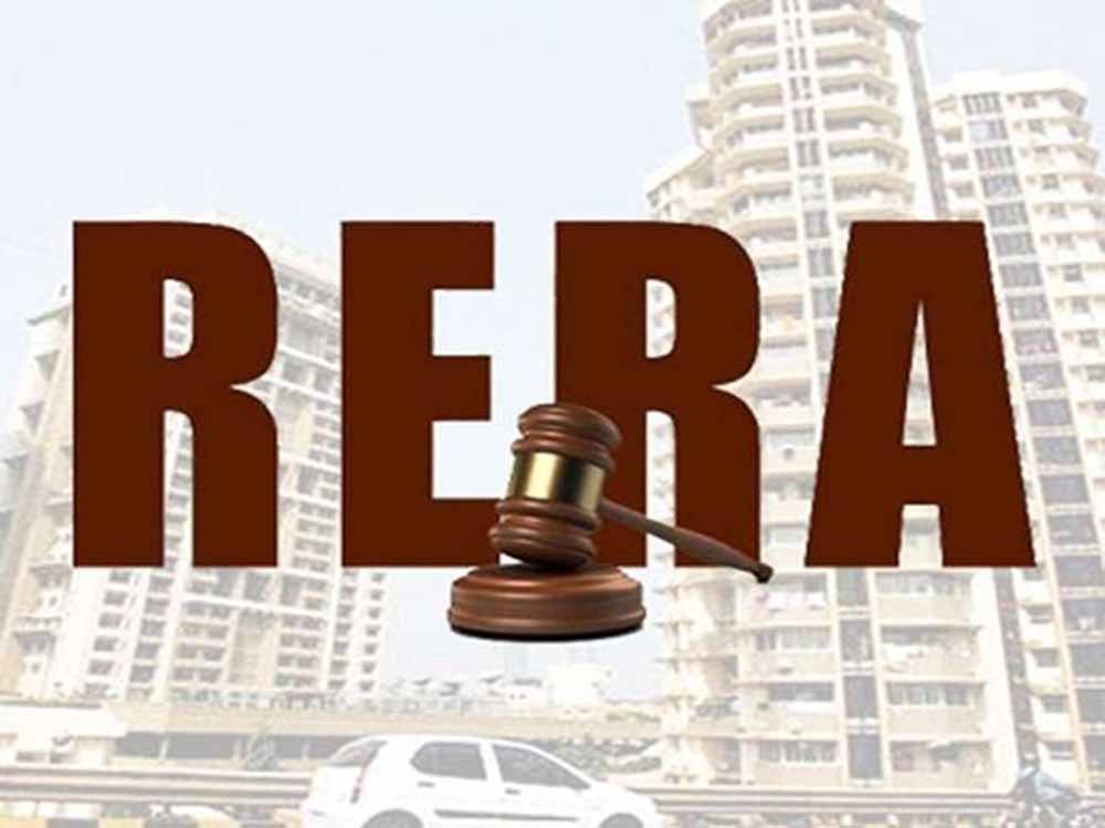 rera.jpg
