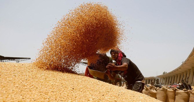 wheat3-1.jpg