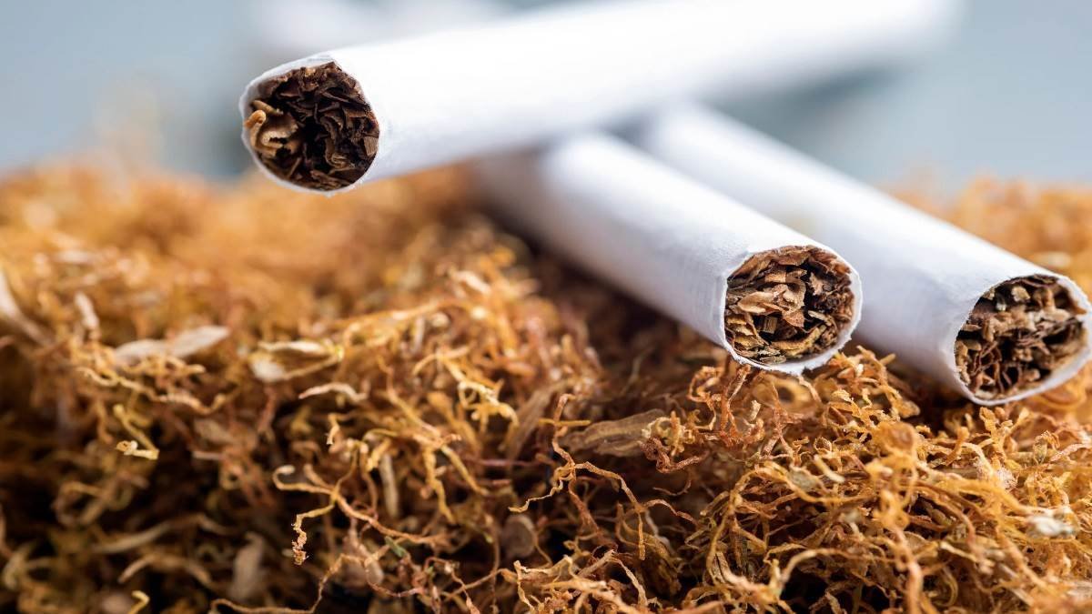 02_06_2024-tobacoo-