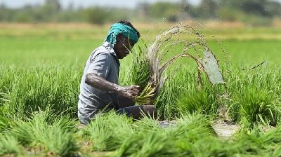 20240709104049_kisan