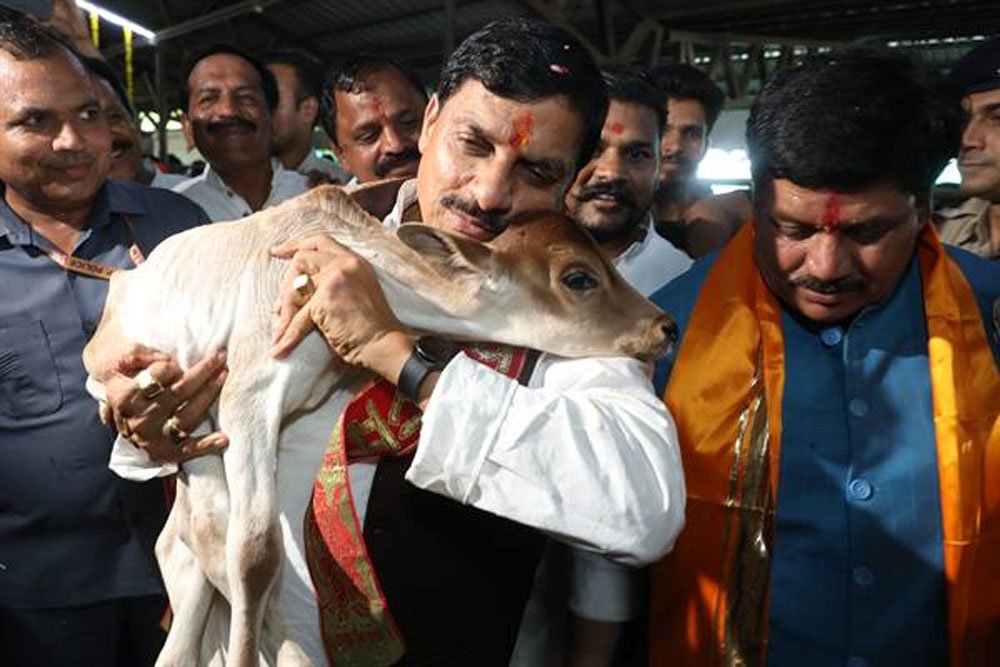 cm-3.jpg