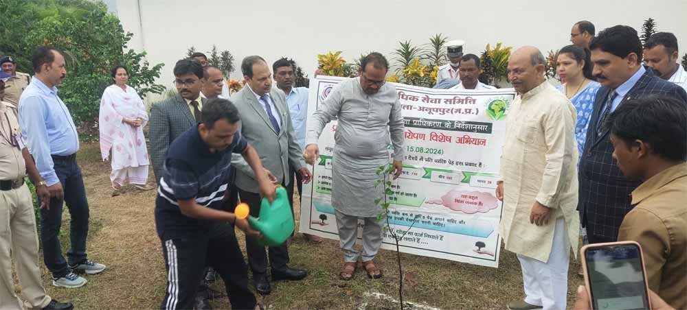 jbp.jpg