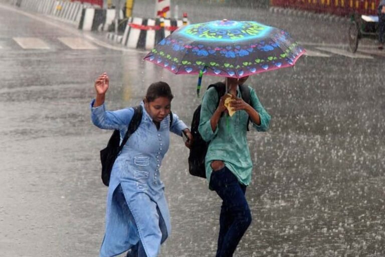 rain_33_2-3.jpg