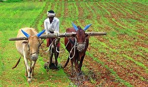 20240711082904_kisan