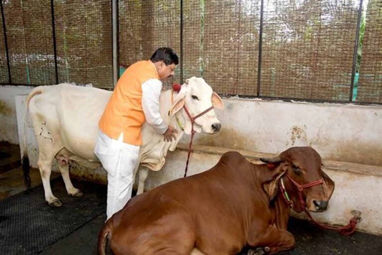 cm_yadav-2.jpg