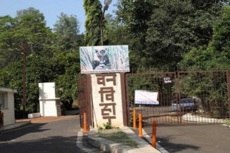 van_vihar.jpg