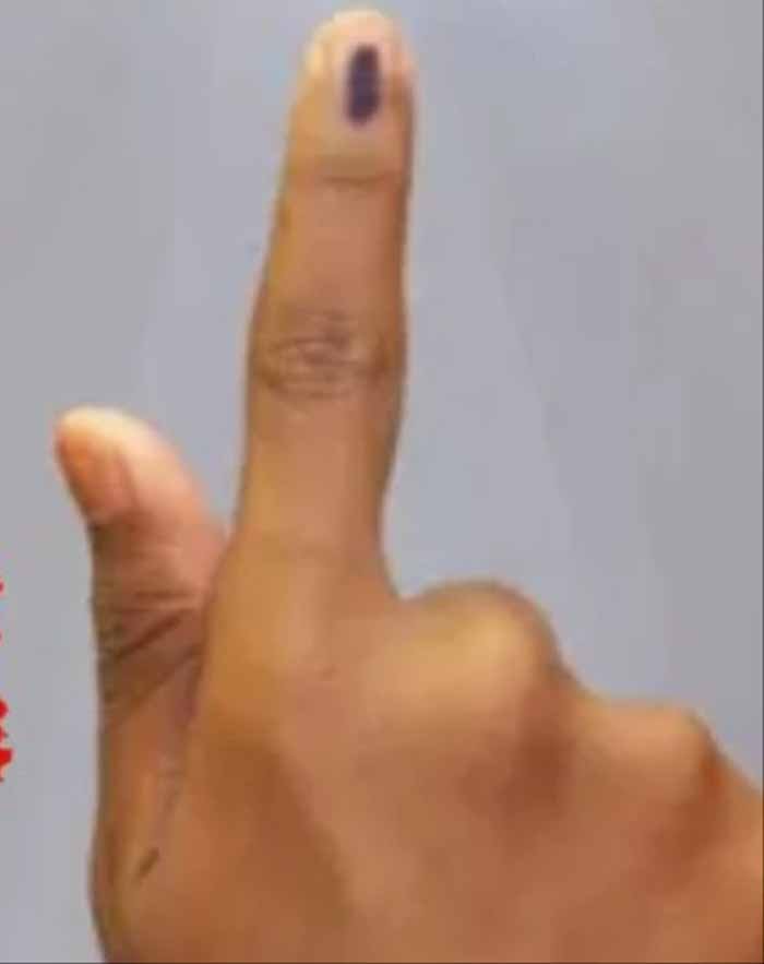 elec-1.jpg
